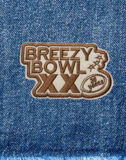 Breezy Patch Set - Chris Brown Embroidered Iron-On Patches (4-Piece)